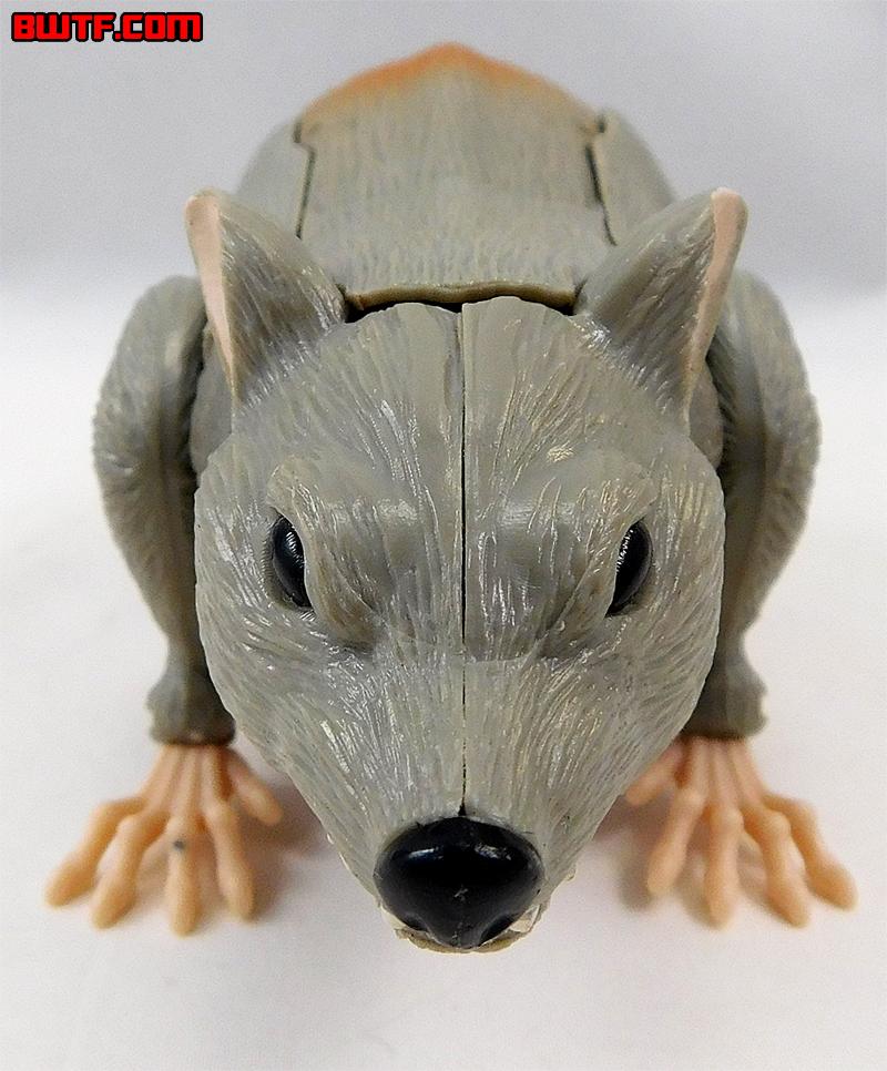 rattrap toy